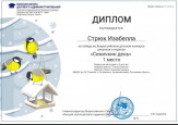 Диплом победителя.