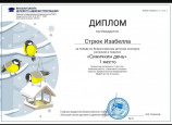 Диплом победителя.