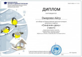 Диплом победителя.