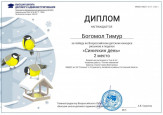 Диплом победителя.