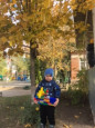 Осенние прогулки 2024