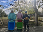 Осенние прогулки 2024