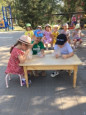 Летнее развлечение 2025