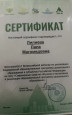 Мои достяжения.