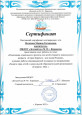Опыт работы по теме: Реализация социального проекта для детей старшего дошкольного возраста "Город Киренск- моя малая Родина"
