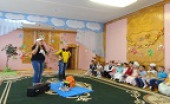 Безопасность детей в природе, в быту , на дорогах и в социуме.