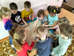 Основные сведения.