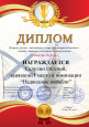 Подведены итоги  2-го детско-юношеского открытого межрегионального онлайн - конкурса  стендового судомоделизма   «Эскадра Победы» г. Карасук
