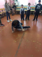 Масленица