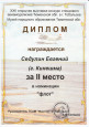 XXII открытая выставка-конкурс моделизма, г. Тобольск