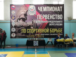 Чемпионат Центрального Федерального округа по спортивной борьбе панкратион в г. Липецк