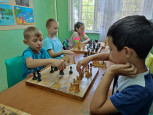 День шахмат "Мы чемпионы!" в лагере "Факел"