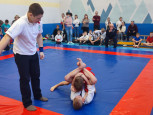 Межмуниципальная открытая тренировка по спортивной борьбе 