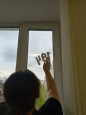 Участие обучающихся отделения №3  в патриотической Всероссийской акции "Окна Победы" 