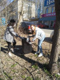 Субботник