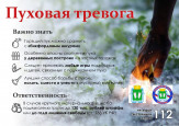 Инфографика 