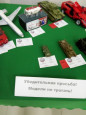 Завершилась  VI ежегодная  выставка стендовых моделей в Таганроге