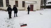 Веселые заезды