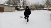 Веселые заезды