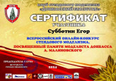 Итоги Всероссийского онлайн - конкурса, посвященного памяти моделиста Донбасса Андрея Малиновского