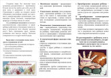 Памятки для родителей
