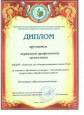 2019 год