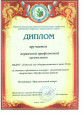 Мои достижения и награды