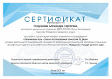Профессиональное развитие