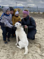 "Любовь к животным  путь, ведущий детей к доброте"