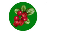 ДС брусничка 