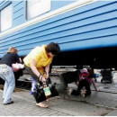 Консультация для родителей «Правила безопасного поведения детей на железной дороге»
