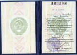 МОИ ДОСТИЖЕНИЯ