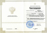 МОИ ДОСТИЖЕНИЯ