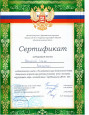 МОИ ДОСТИЖЕНИЯ