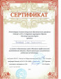 МОИ ДОСТИЖЕНИЯ