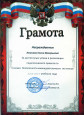 МОИ ДОСТИЖЕНИЯ