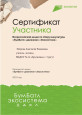 Профессионально-общественная активность учителя-логопеда 