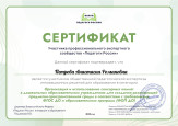 Профессионально-общественная активность учителя-логопеда 