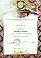 Наличие отмеченных профессиональных достижений 