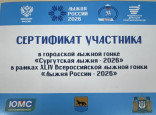 Профессионально-общественная деятельность