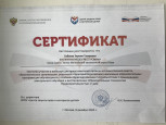 Индивидуализация образования
