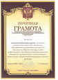 Наличие отмеченных профессиональных достижений 