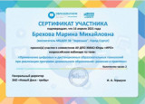Повышение педагогического опыта