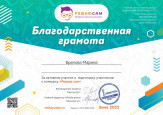 Сертификаты педагога