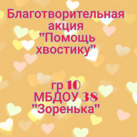Благотворительная акция "Помощь хвостику"