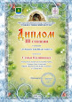 Районный уровень