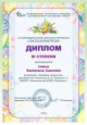 Районный уровень