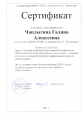 Мои достижения: