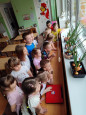 Огород на окне
