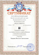 Участие в вебинарах, научных конференциях и педагогических чтениях